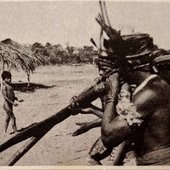 Xingú