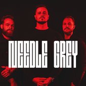 Needle Grey