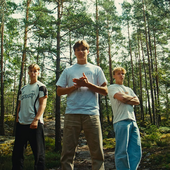 Fjellrev.png
