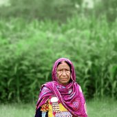 1664791130-zarsanga_k.jpg