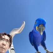 hirasawa with a bird
