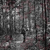 The Amazon​—​where the Moon Wept