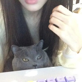 shykittyboy 的头像