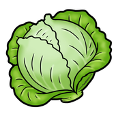 Avatar for passthecabbage