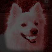 Аватар для scarysmilingdog