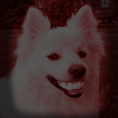 Avatar for scarysmilingdog