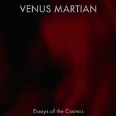Essays of the Cosmos