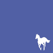 white pony - blue cover