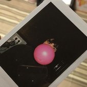 8284751.jpg