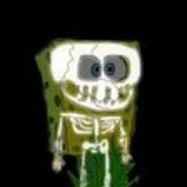 Avatar for markues