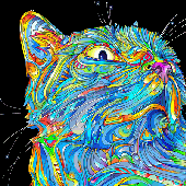 Avatar for mattatack9969