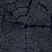 The Guidance of Ancestry