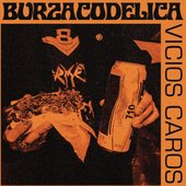 Vicios Caros