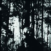 Beorn
