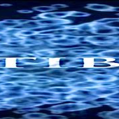 Antibodi logo