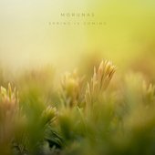 Spring Is Coming