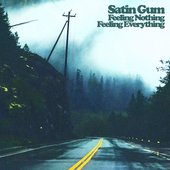 Feeling Nothing Feeling Everything