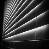 Open the Blinds