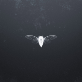 LastFM profile picture for @pitch