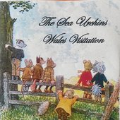 Wales Visitation - Live At Aberystwyth University 20 January 1989