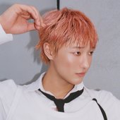 I'll Never Love Again