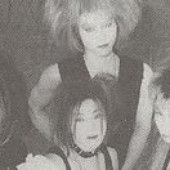 crow-sis
