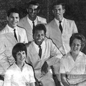 The Viscaynes