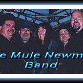 The Mule Newman Band