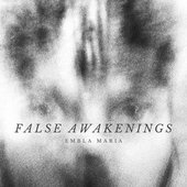 False Awakenings