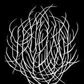 True Love USBM logo