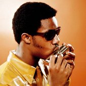 stevie wonder