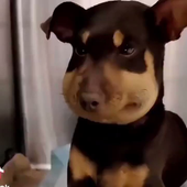 omarmejiaa 的头像