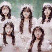 3rd SINGLE「魔性少女」🦋
