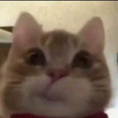 Erikaaaja 的头像