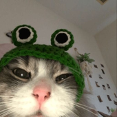 Avatar for googieffect