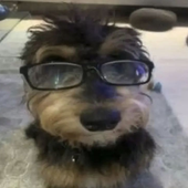 matthmato 的头像
