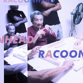 Racoonhead