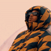 DDG1.gif
