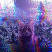 OVERD0S3_ 的头像