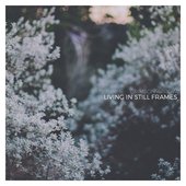 Living In Still Frames