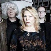 wildmenbluesband.jpg