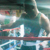 irvensdboxer için avatar