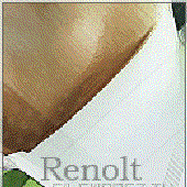 Avatar for Renolt
