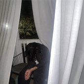 IMG_2113.jpeg