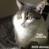 jordan sunlight's cat presumably