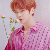 kang daniel