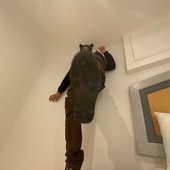 DD75CA87-F2DA-4C89-B50E-AEA7B266C3CD.jpeg