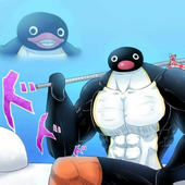 Avatar di Pingu_RNGR
