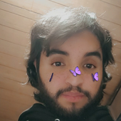 Avatar for pimpivan
