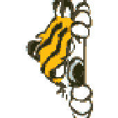 Avatar for curttasker